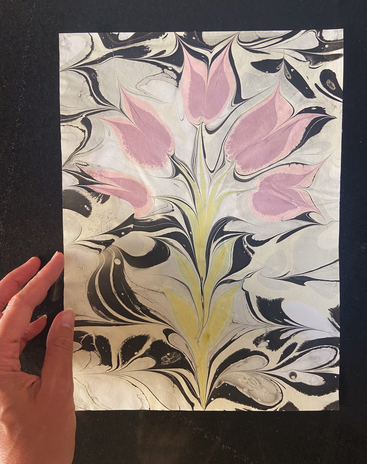 Pink Tulips