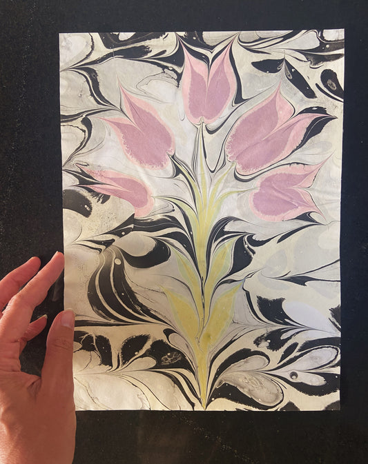 Pink Tulips