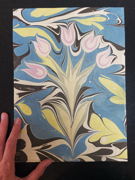 Tulips