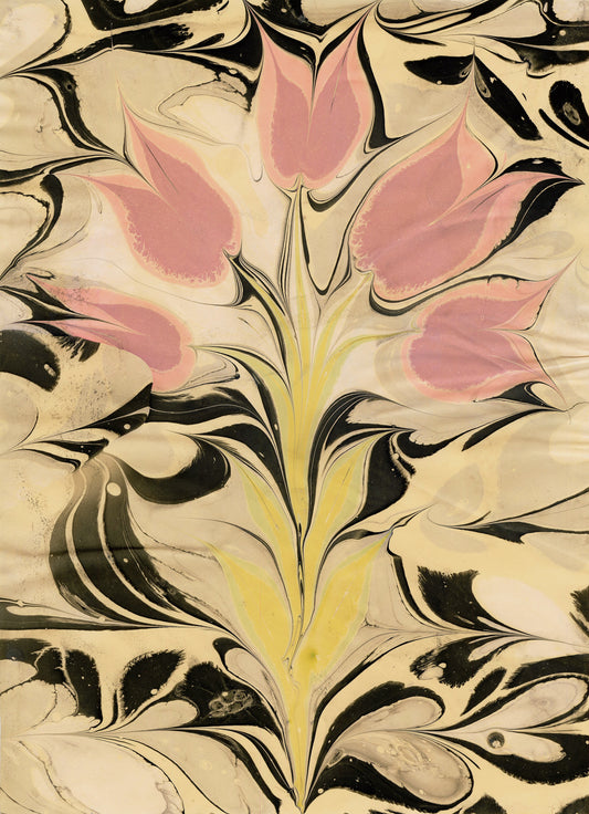 Pink Tulips