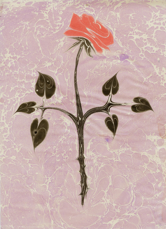 Rose on Rose