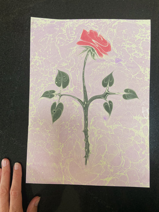 Rose on Rose