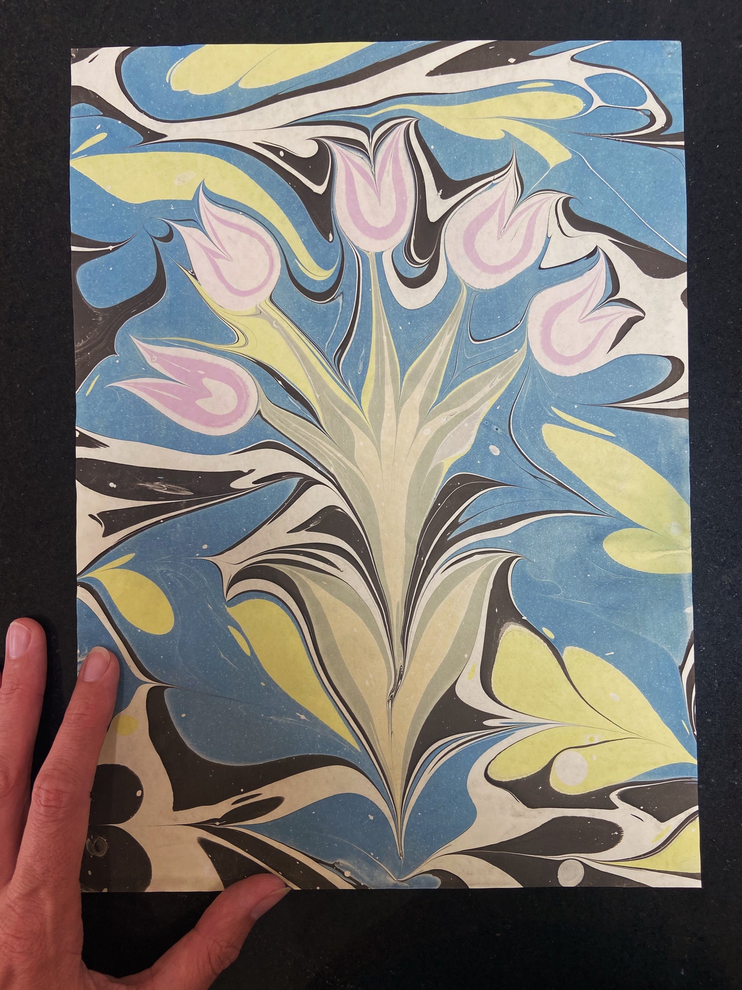 Tulips