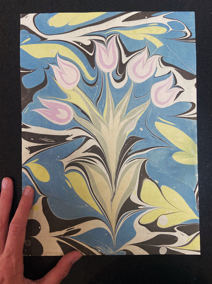 Tulips